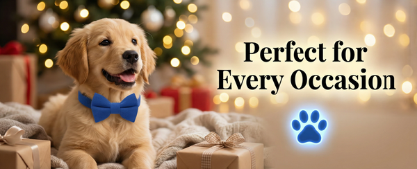 THAIN Dog Collar with Bow Tie Corduroy,Soft,Breathable&Adjustable Quick Release Plastic Buckle Dog Collars for Small Medium Large Dogs Pets