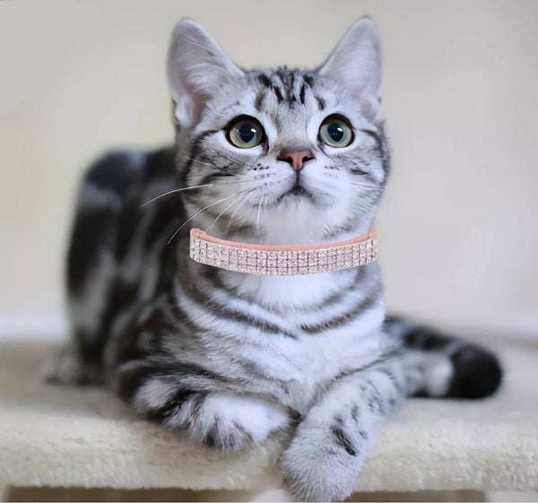 THAIN Rhinestones Cat Dog Collar Soft Velvet Safe Adjustable Collar Bling Diamante with Bells, 8-11 inch for Small Dogs and Cats