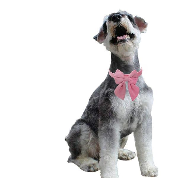 THAIN Velvet Dog Collar with Style Bow Tie, Quick Release Plastic Buckle Adjustable Dog Collars for Small Medium Large Dogs Pets
