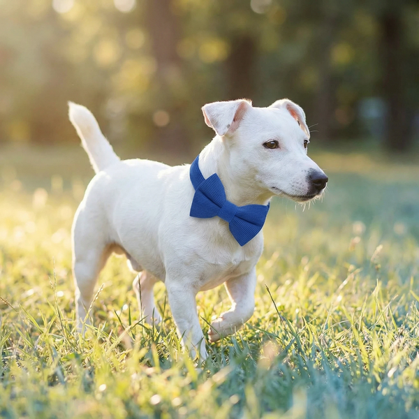 THAIN Dog Collar with Bow Tie Corduroy,Soft,Breathable&Adjustable Quick Release Plastic Buckle Dog Collars for Small Medium Large Dogs Pets