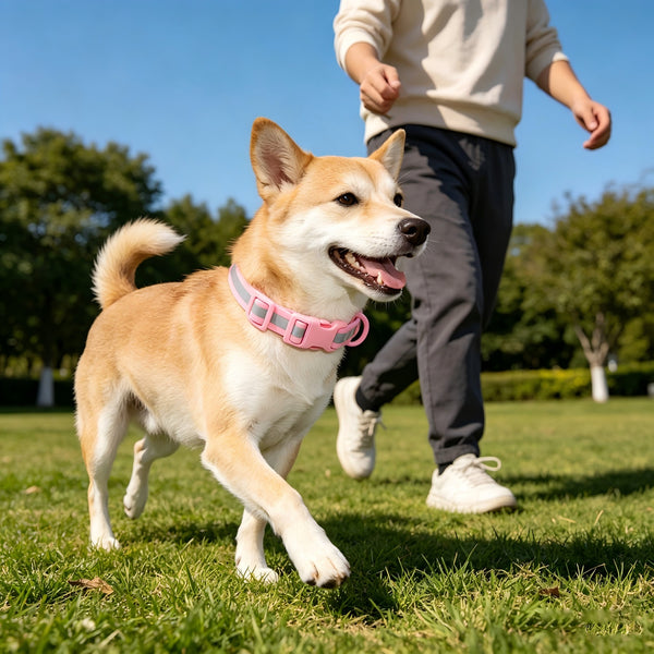 THAIN Waterproof Reflective Dog Collar –PVC Webbing with High Visibility Reflective Strip–Easy to Clean – Perfect for Daily Use & Night Walks – for Small Medium Large Dogs
